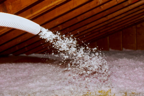Best Insulation Installation Services in Lake City, PA